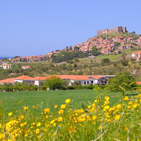 מית'ימנה Elea Houses מראה חיצוני תמונה
