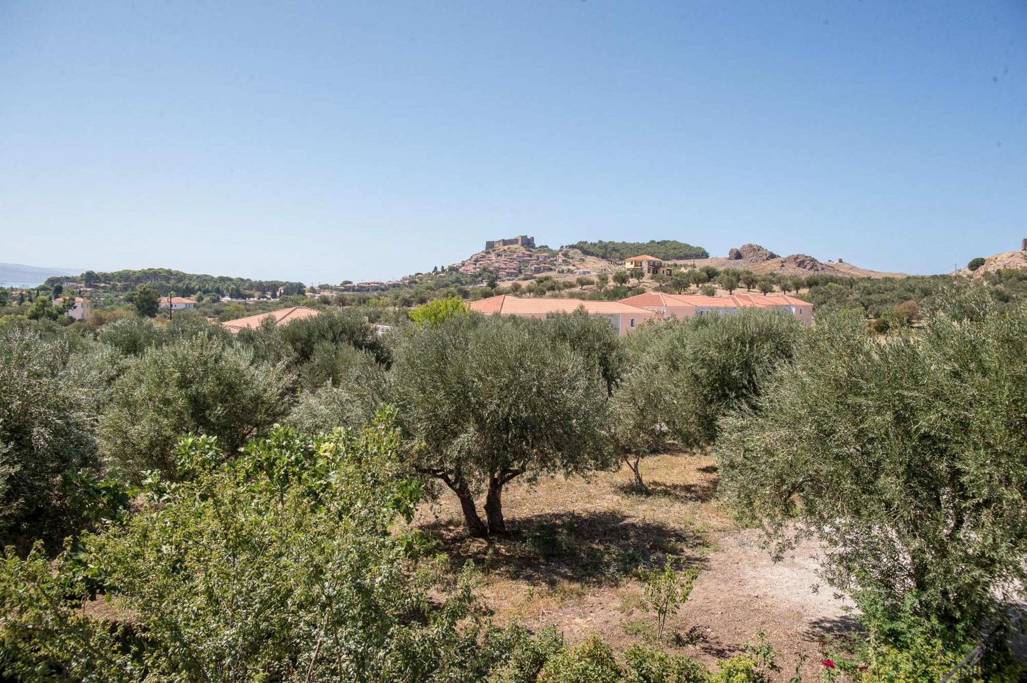 מית'ימנה Elea Houses מראה חיצוני תמונה