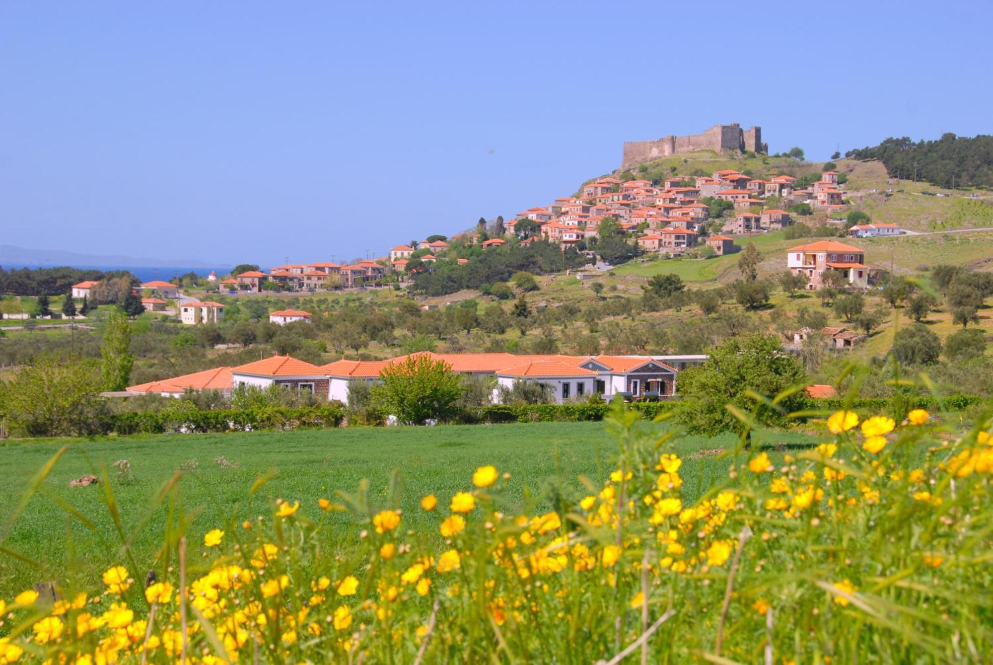 מית'ימנה Elea Houses מראה חיצוני תמונה