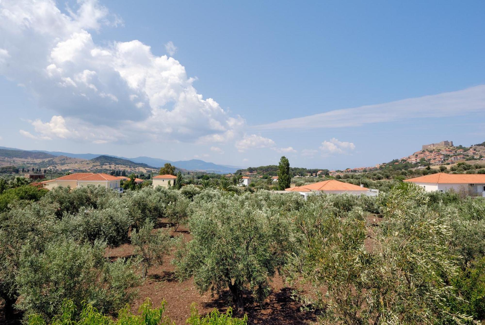 מית'ימנה Elea Houses מראה חיצוני תמונה